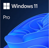 MS WIN 11 PRO 64BIT ENGLISH 1PK DSP OEI DVD